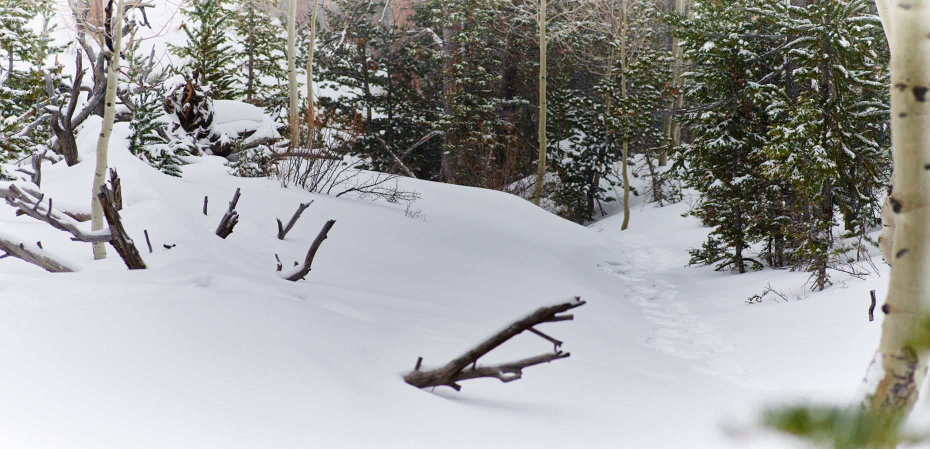Bristlecone_Trail_Snow